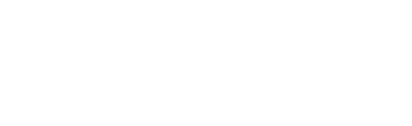 Metalnet